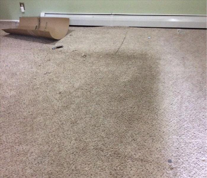 West Hartford Business Carpet Water Damage Cleanup - Before shot of carpet water damage cleanup