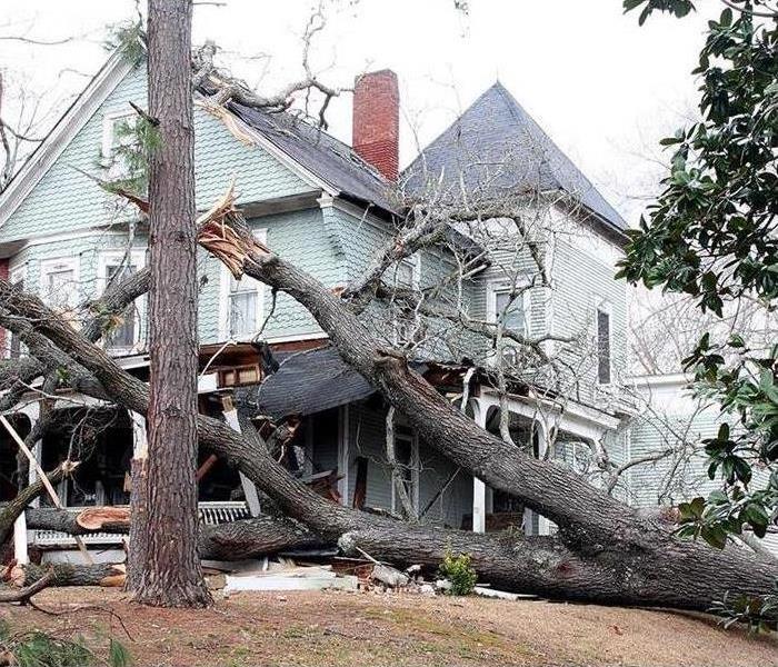 A large tree lies on the ground and partially on a house