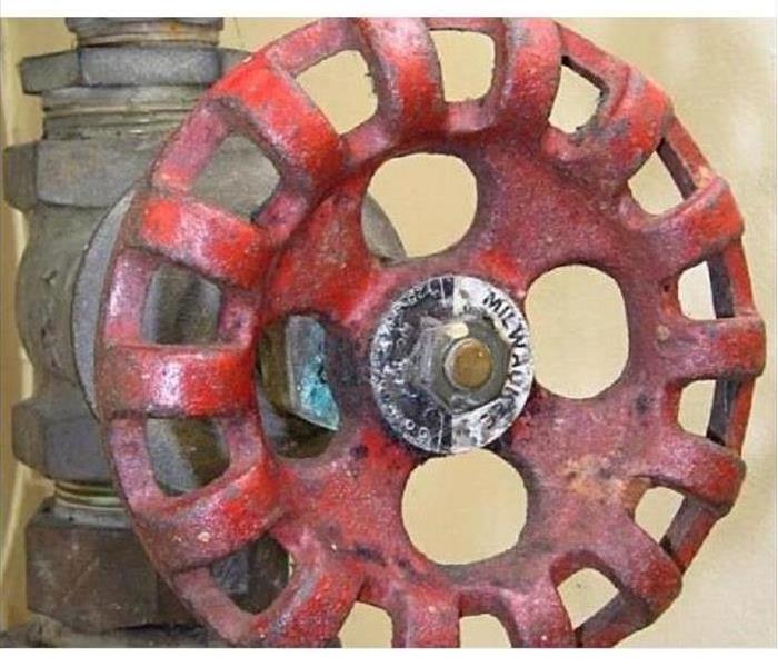 Close-up of a red whole-house water shutoff valve