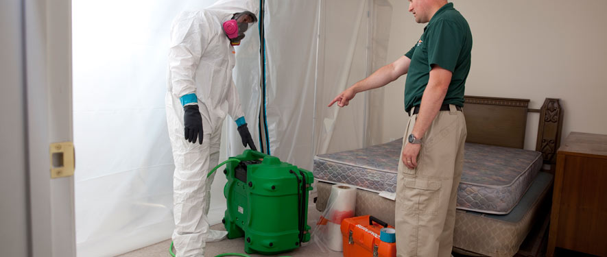 West Hartford, CT mold removal process